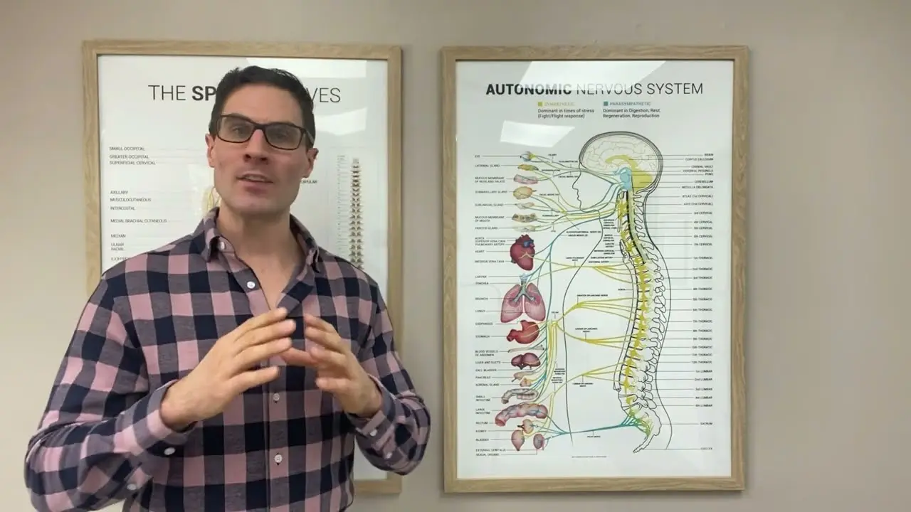 Top Chiropractor in Weston video
