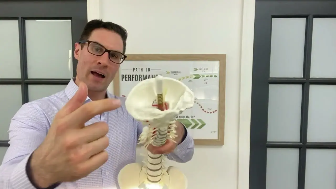 Top Chiropractic Care in Weston